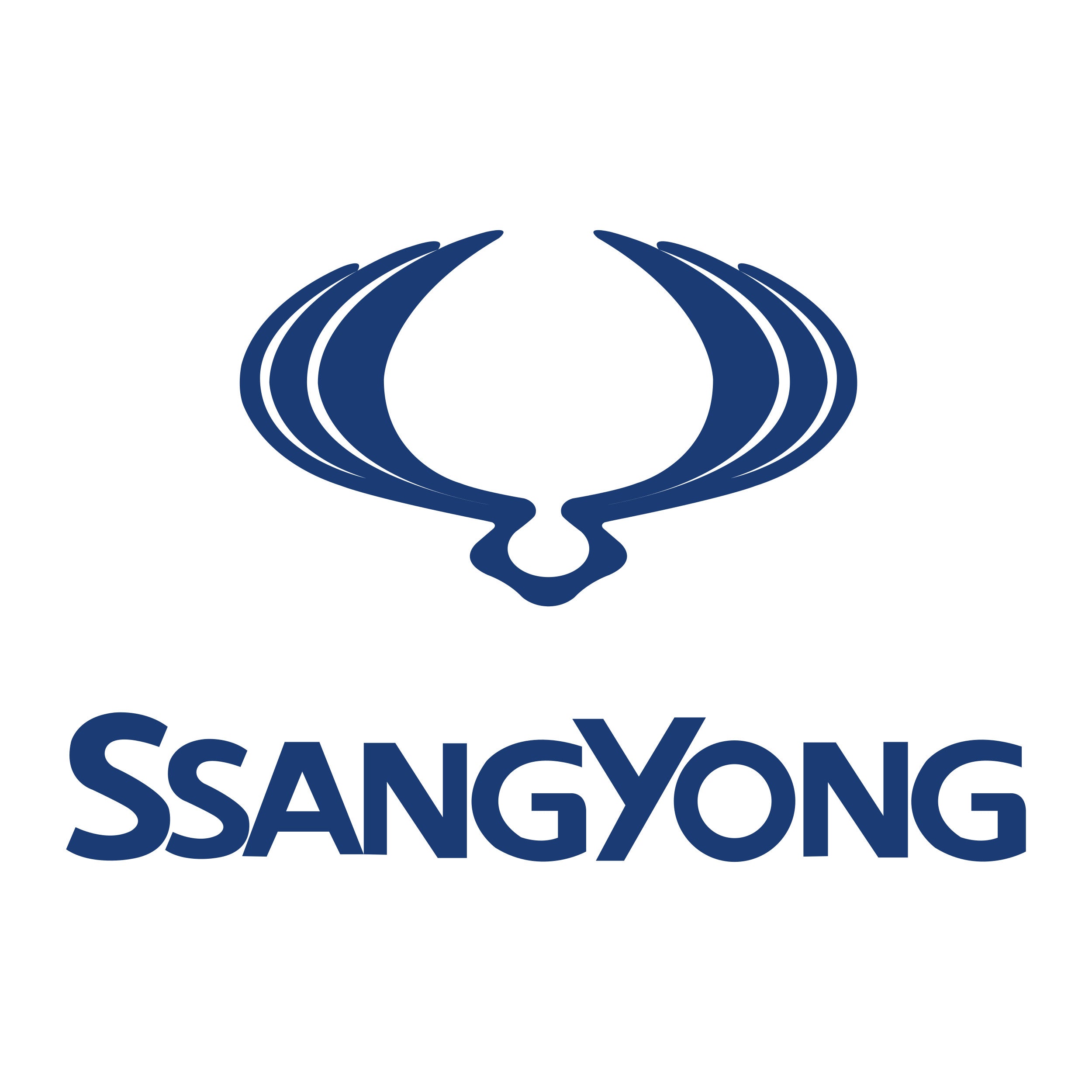 Ssangyong - ECU Tune
